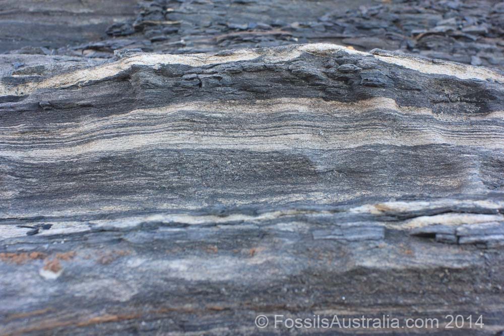 Planar laminae