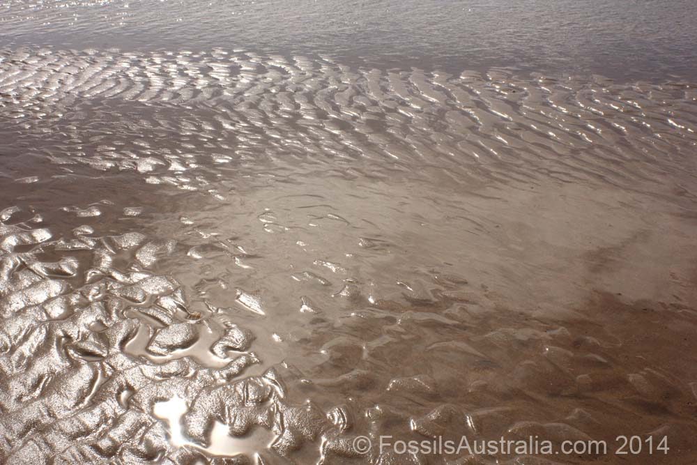 asymmetric wave ripples