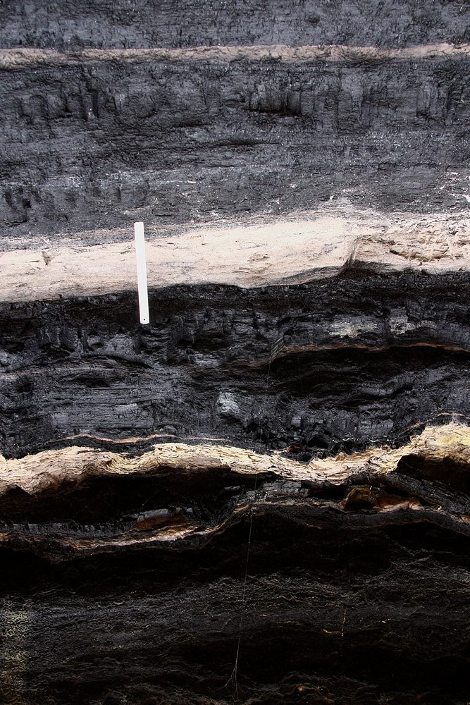 Geology of the Illawarra and Southern Highlands - Sydney Basin